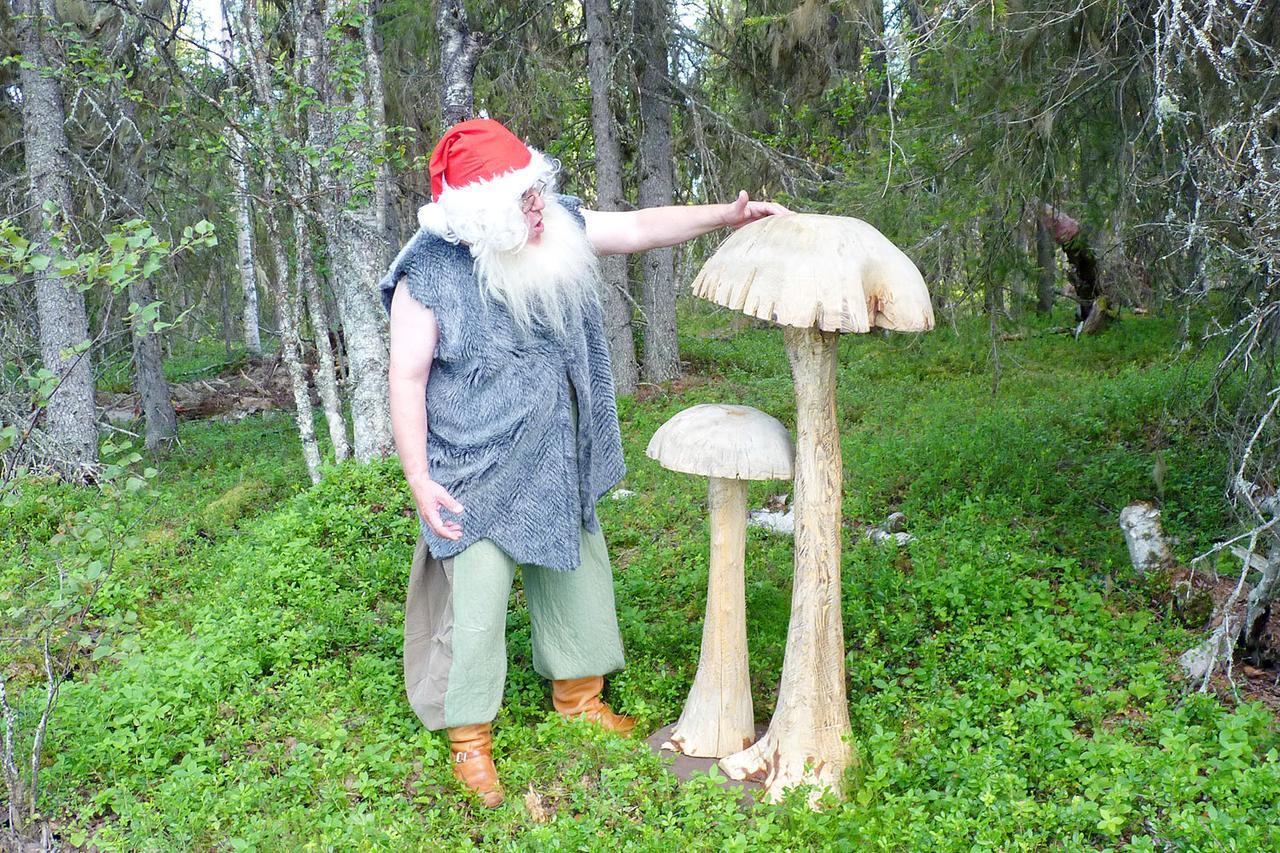 Elves Village Hotel Köngäs Zewnętrze zdjęcie