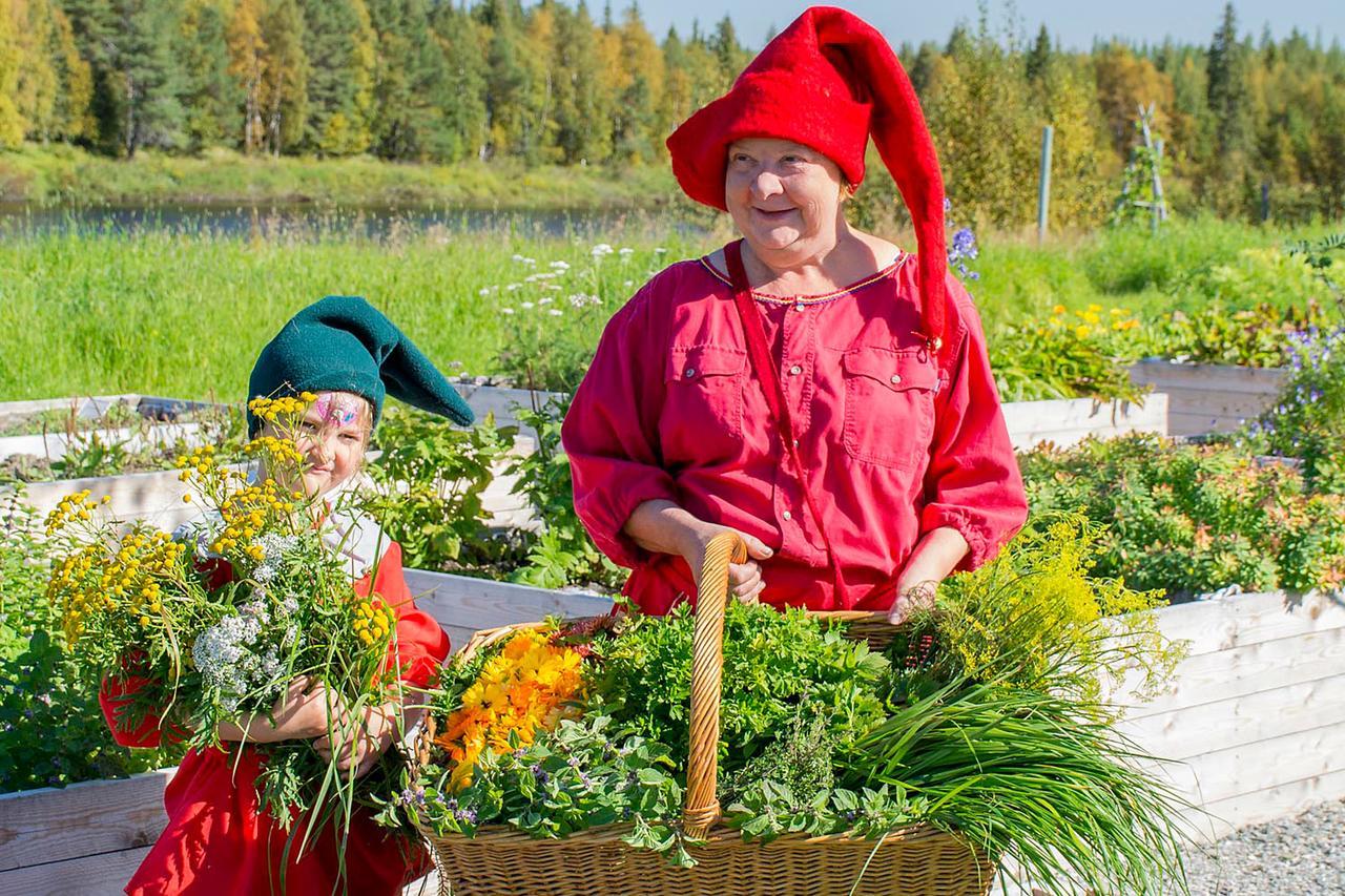Elves Village Hotel Köngäs Zewnętrze zdjęcie